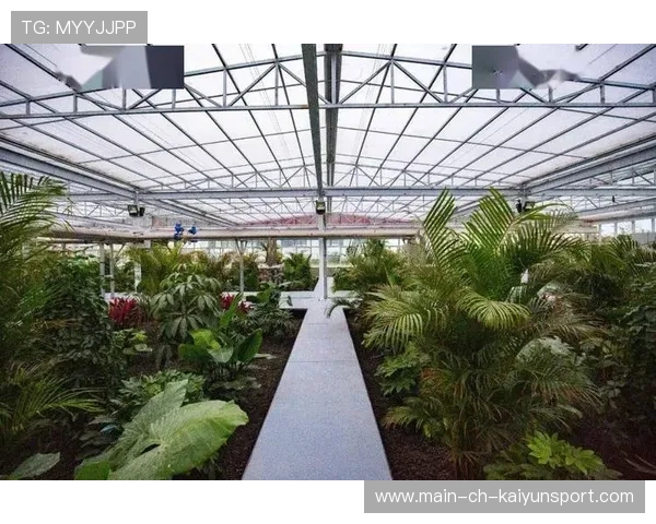 俱乐部以“青少年+绿色+科技”为核心，打造行业绿色生态新高地